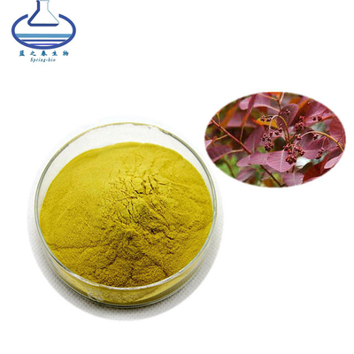 Cotinus Coggygria Extract Fisetin Powder CAS 528-48-3