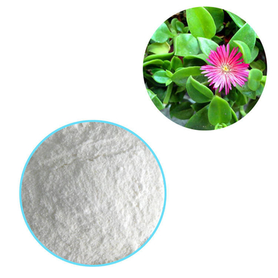 Andrographis Paniculata Leaf Pure Plant Extracts Andrographolide 98%