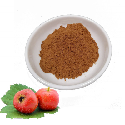 50/1 Pure Plant Extracts Human Essential Hawthorn Berry Extract Powder