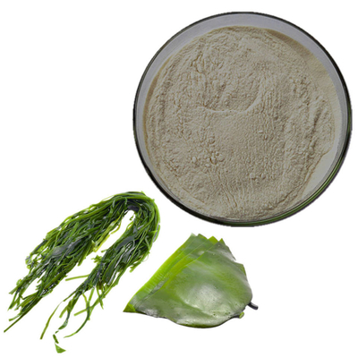 Organic Pure Plant Extracts Sargassum Algae Fucoxanthine Powder
