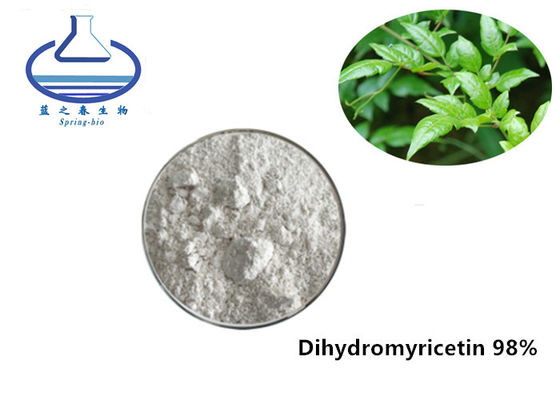 CAS 27200-12-0 Vine Tea Extract Dihydromyricetin DHM Powder