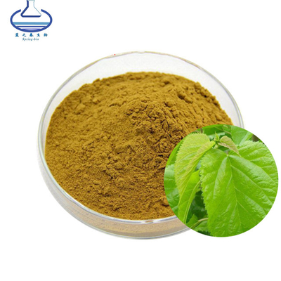 Pure Natural Mulberry Leaf Extract Powder Folium Mori Extract Powder