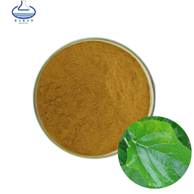 Pure Natural Mulberry Leaf Extract Powder Folium Mori Extract Powder
