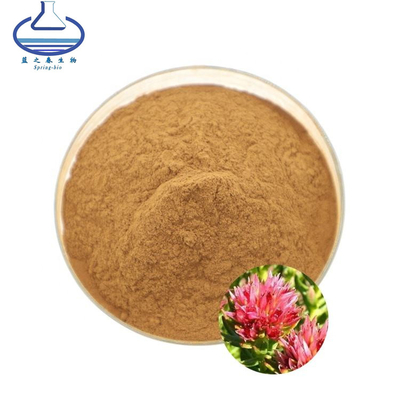 Health Supplement Rhodiola Rosea Extract Powder