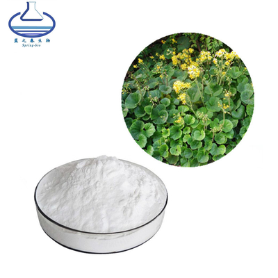 Bergenia Purpurascens Pig Squeak Extract Powder Bergenin