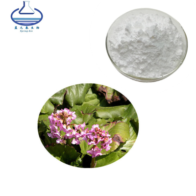 Bergenia Purpurascens Pig Squeak Extract Powder Bergenin