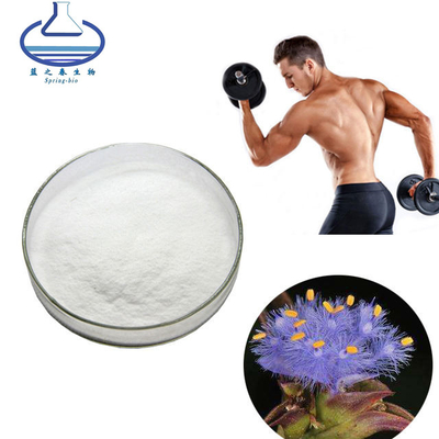 Cyanotis Arachnoidea Root Extract Ecdysterone Powder