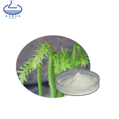 Huperzine 98% Huperzine Serrate P.E CAS 102518-79-6