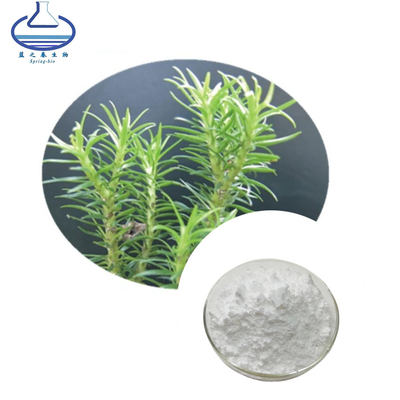 Huperzine 98% Huperzine Serrate P.E CAS 102518-79-6