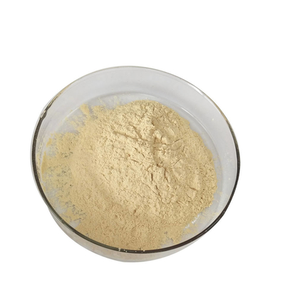 Food Grade Pure Plant Extracts White Button Mushroom Extract Powder