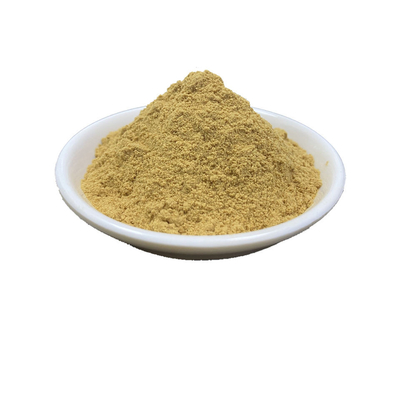 Organic Shell Pure Plant Extracts Green Lipped Mussel Powder 50%-70%
