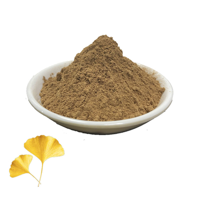 Herb 24 Flavone Ginkgo Biloba Leaf Extract 6% Lactones