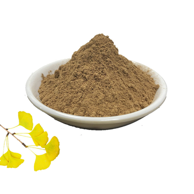 Herb 24 Flavone Ginkgo Biloba Leaf Extract 6% Lactones