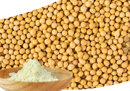 Phosphatidylcholine Soybean sunflower  lecithin powder70% Extracts