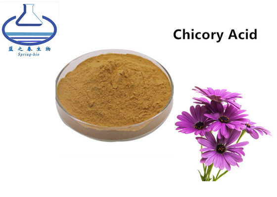 Echinacea Angustifolia Purpurea Lutein Extract Powder Chicory Acid