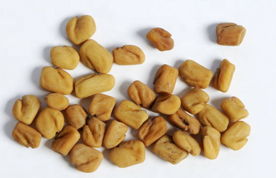 Fenugreek Lutein Extract Powder Saponin 50% Lowering the cholesterol level