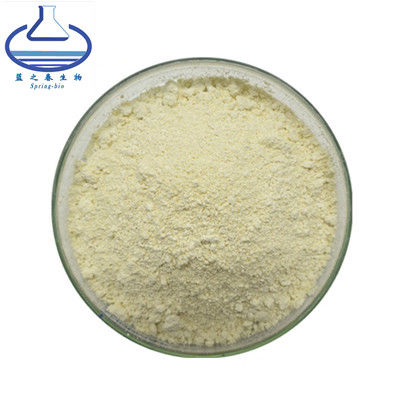 Sophora Japonica Ginseng Root Extract Powder HPLC UV  CAS 446-72-0