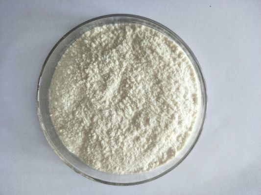 Sophora Japonica Ginseng Root Extract Powder HPLC UV  CAS 446-72-0