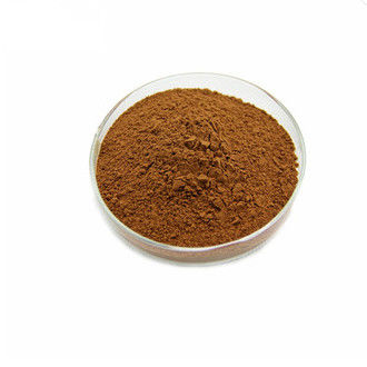 Peppermint Extract Mint Leaf Powder Food Grade For Health Protect