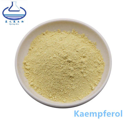 520-18-3 Kaempferia Galanga Root Extract Light Yellow Powder