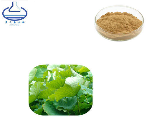 475-83-2 L Ergothioneine Powder In Skin Care , Lotus Leaf Extract Nuciferine 50%