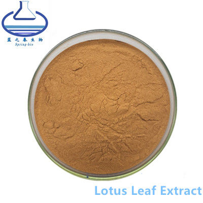 Nuciferine Lotus Leaf Extract Powder CAS 475-83-2 para el aditivo alimenticio