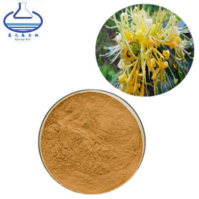 Honeysuckle Chlorogenic Acid Extract, polvo del extracto de la flor de Japonica del Lonicera