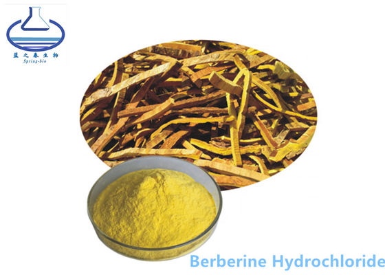 El Phellodendron Amurense del clorhidrato de Berberine extrae el polvo amarillo 633-65-8